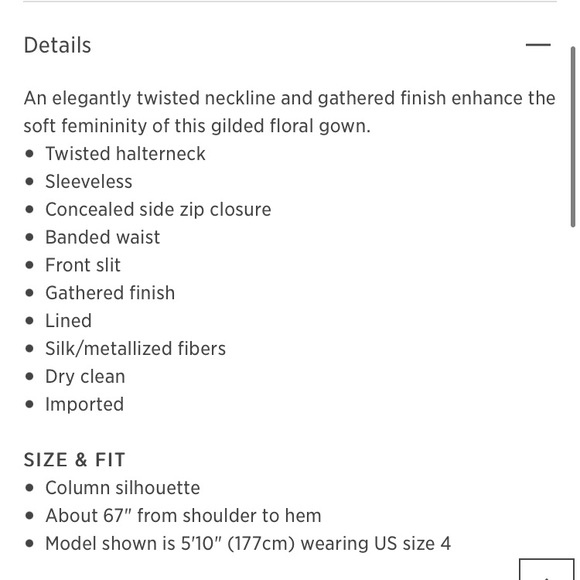 Rachel Zoe Bella l Metallic Silk Goddess Gown - Picture 14 of 14